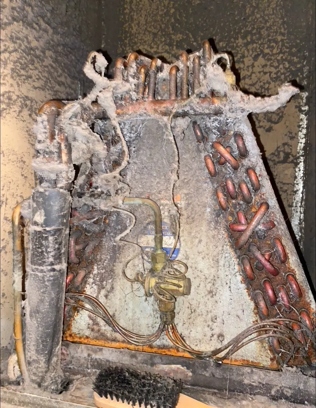 Dust-clogged evaporator coil before professional cleaning in Houma Louisiana